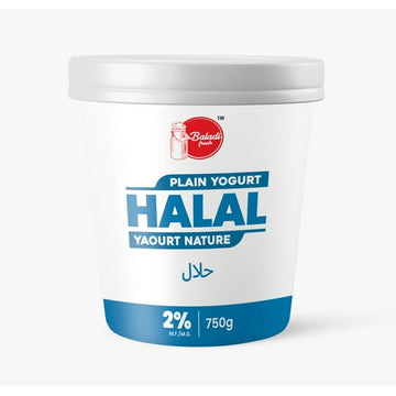 Baladi Fresh Yogurt Plain 2%, Baladi Fresh Halal Yogurt Plain 2%