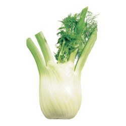 Fennel 1 ea