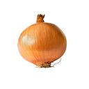 Onion Yellow Sold by weight