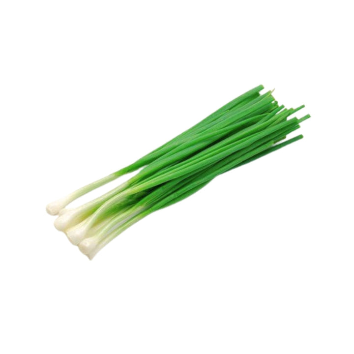 Green Onion Bunch 1 EA