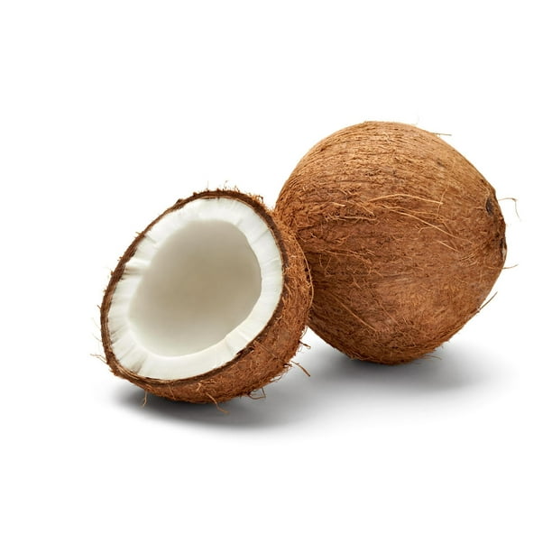 Coconut 1 ea