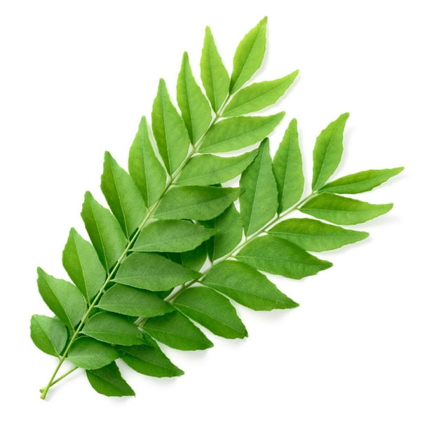 Fresh Kari Leaves 40g