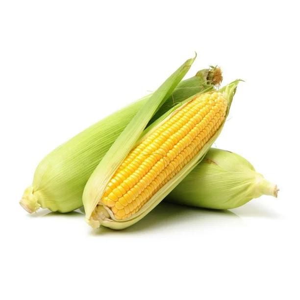 Corn 1 ea