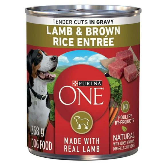 Purina ONE Tender Cuts in Gravy Lamb & Brown Rice Entrée, Wet Dog Food 368 g, 368 g