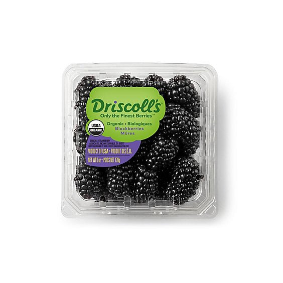 Driscolls blackberry 1 pack