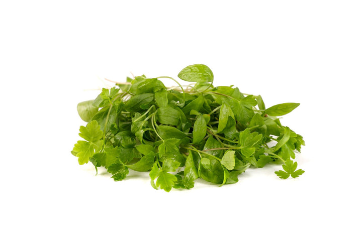 Parsley (Herb)