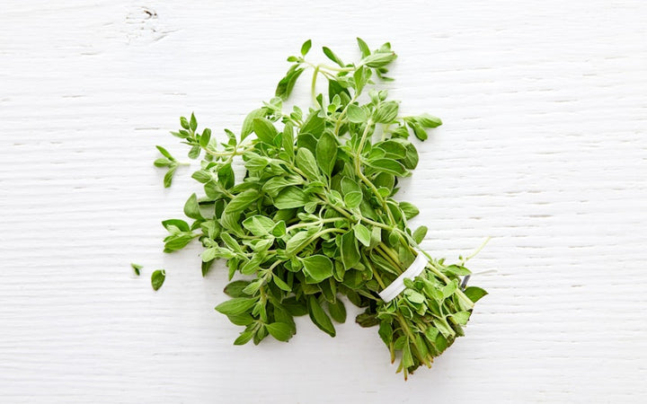 Oregano 1 bunch