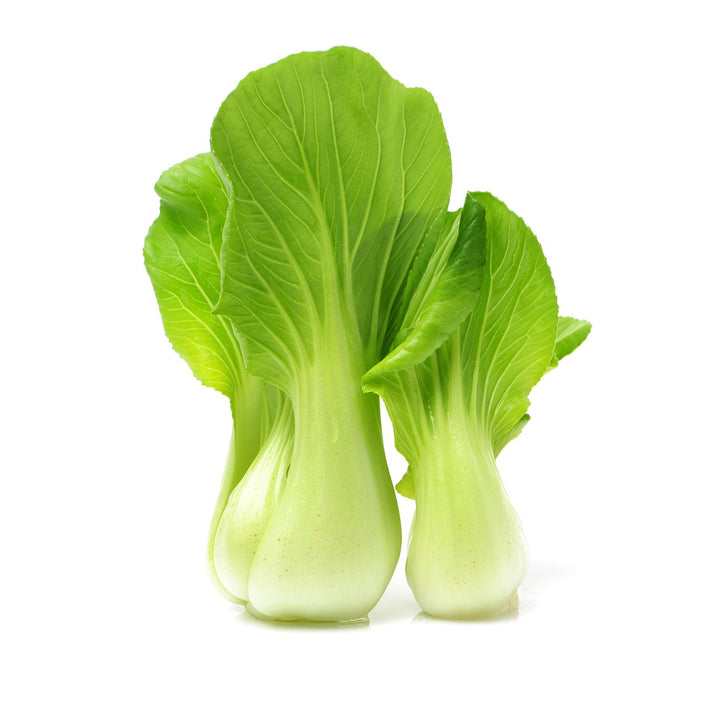 Chinese Bok Choy (Fresh)