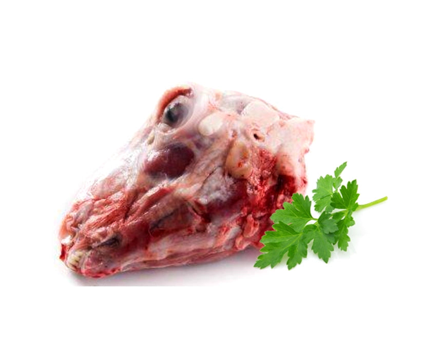 Boof Fresh Lamb Head