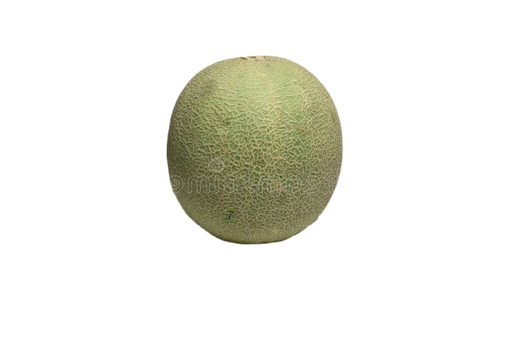 Cantaloupe small