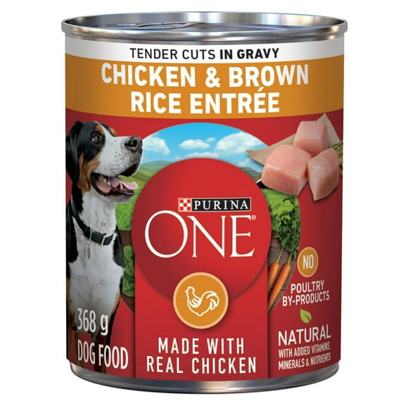 Purina ONE Tender Cuts in Gravy Chicken & Brown Rice Entrée, Wet Dog Food 368 g, 368 g