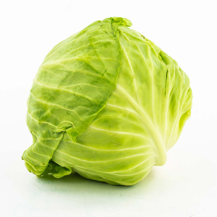 Green cabbage sold by lbs