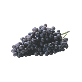Black grapes sold by lb
