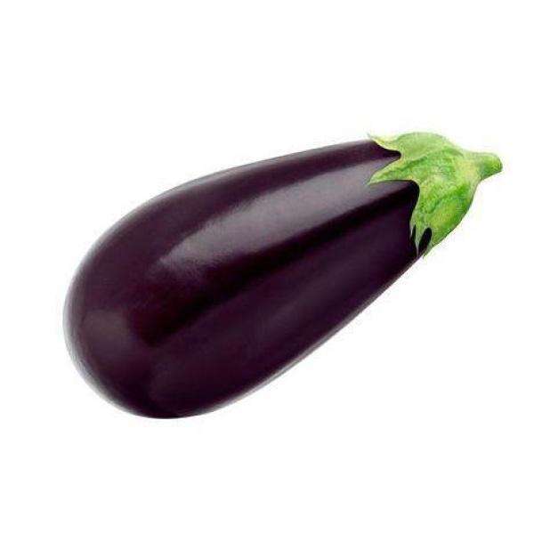 Eggplant regular sold per lb