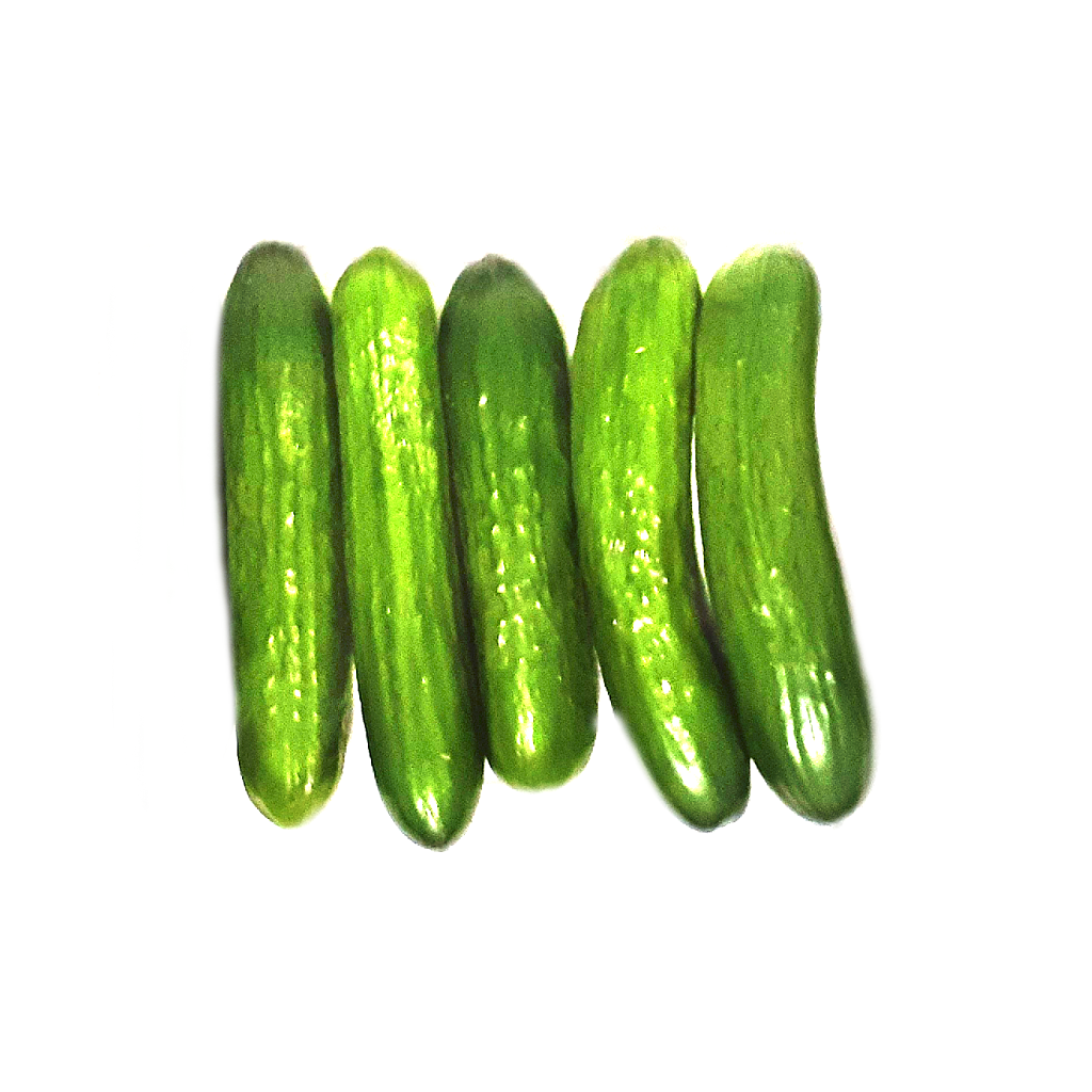 Mini cucumber sold per lb