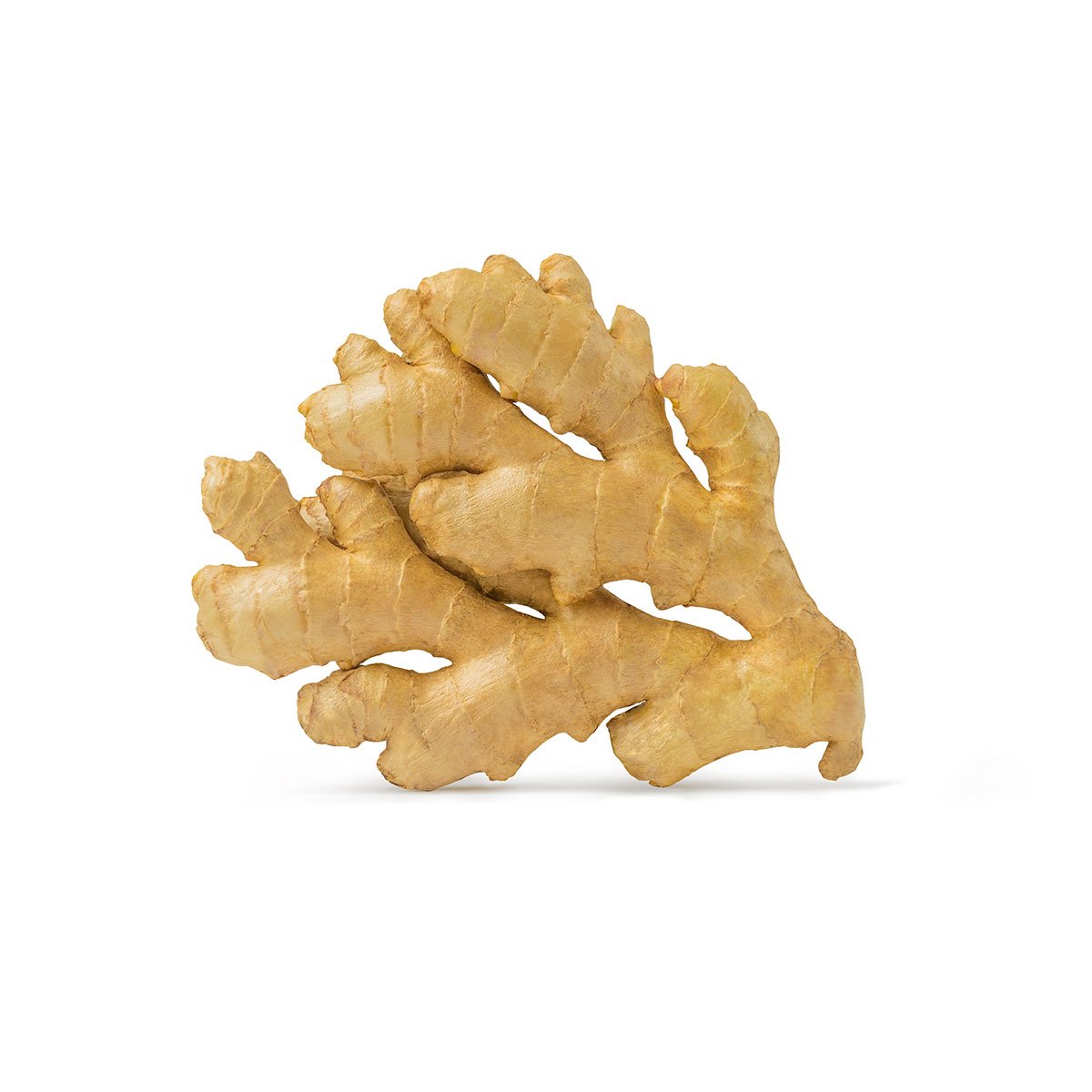 Organic ginger sold by lb