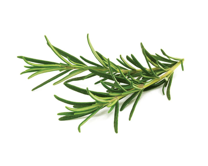 Rosemary 1 bunch