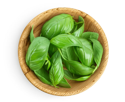 Basil | 1 oz pack