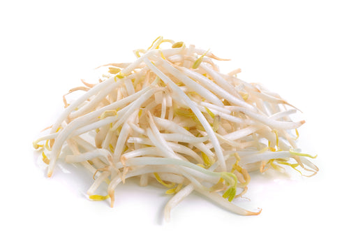 Bean Sprouts | 454 g