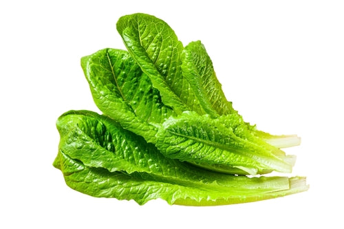 Romaine Lettuce | 1 head