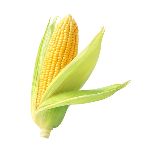 Corn | 1 cob