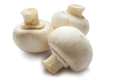 White mushrooms box
