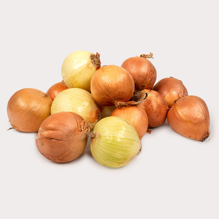 Cooking onion 10 lb